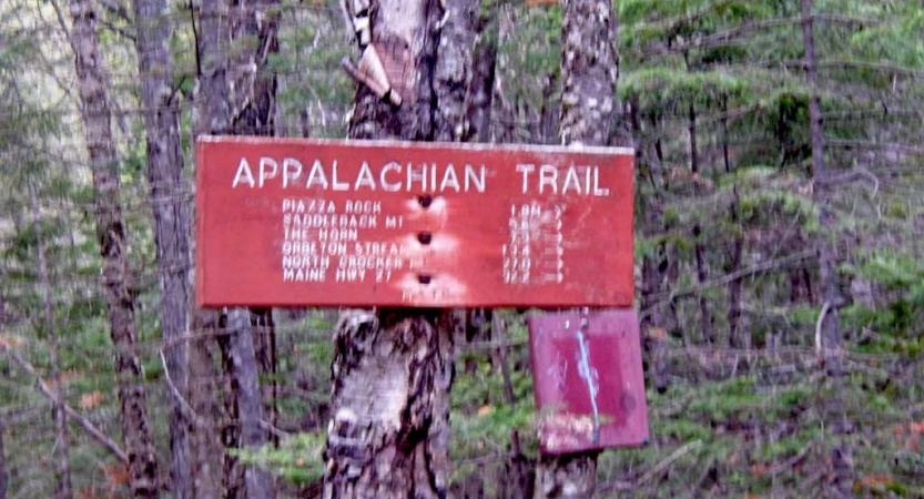 A sign mailed to a tree says "Appalachian trail" and lists some other illegible information below. 